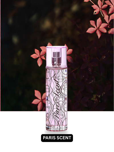 Paris Lady by EBC 3.4oz EDP Spray