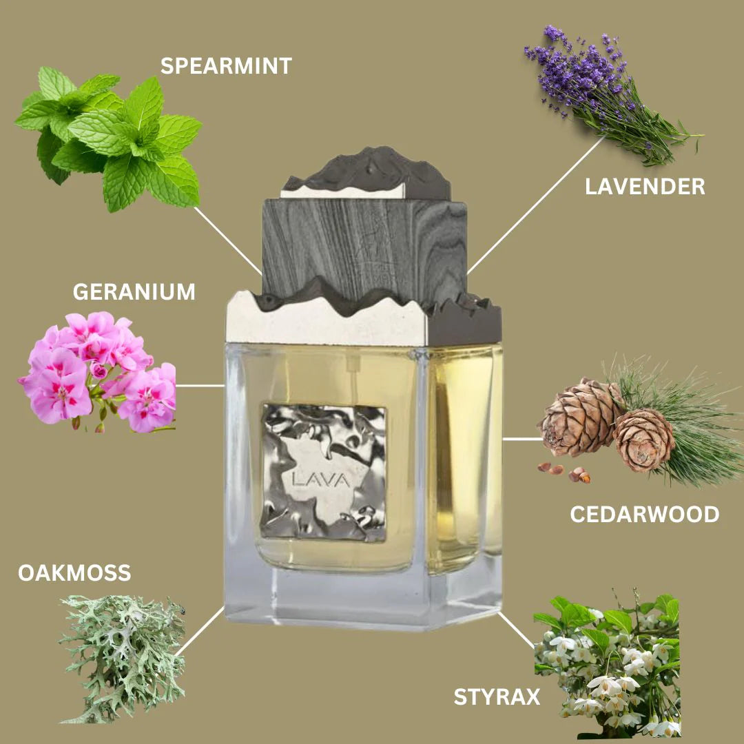 Lava by Maison Alhambra For Men Perfume 3.4 oz