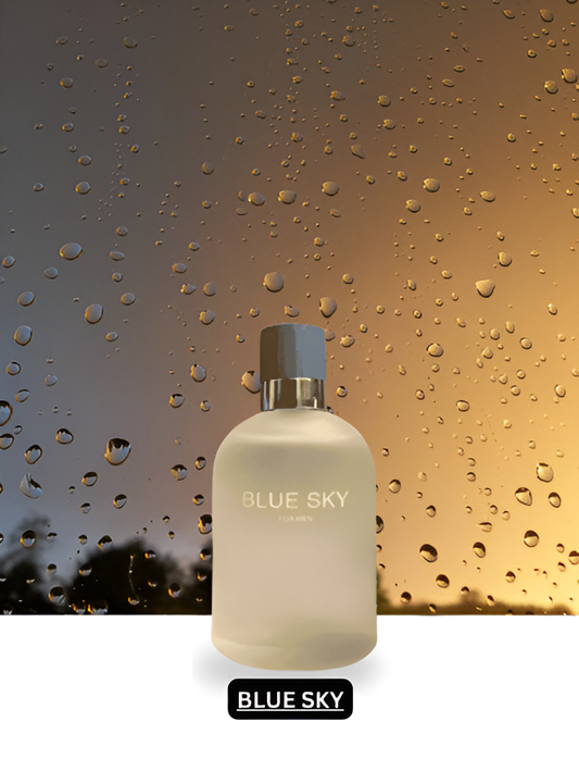 Blue Sky EDP 3.4oz by Secret Plus (Men)