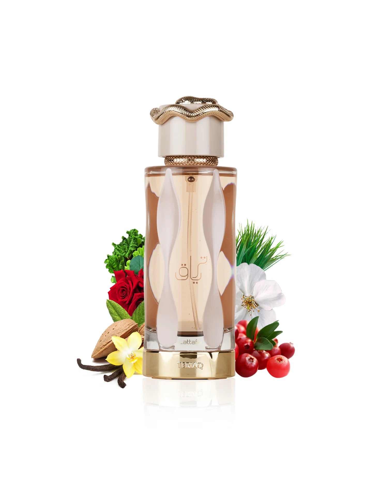 Teriaq by Lattafa Unisex EDP Perfume 3.4oz