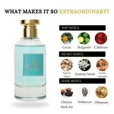 Celesto Turquoise by Riiffs For men EDP 3.4 oz